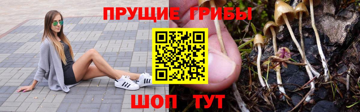 Галлюциногенные грибы Psilocybe  Галлюциногенные грибы Magic Shrooms  Рассказово  Вход с VPN 